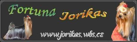 CHS Jorikas - www.jorikas.wbs.cz